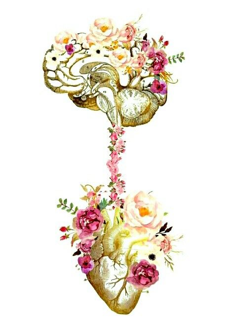 Twin Waves Wellness Team