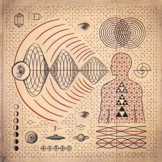 Twin Waves Wellness Team