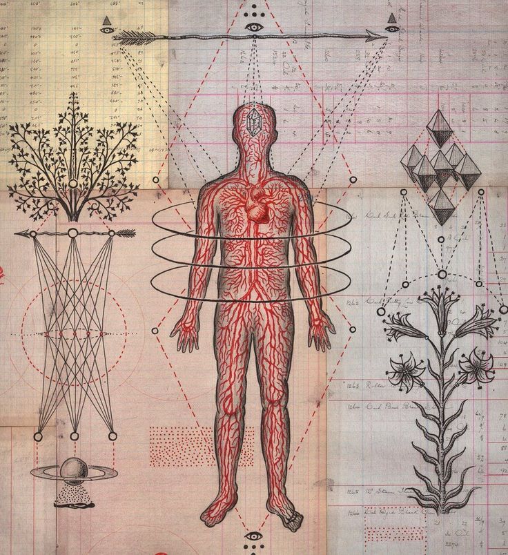 Twin Waves Wellness Team