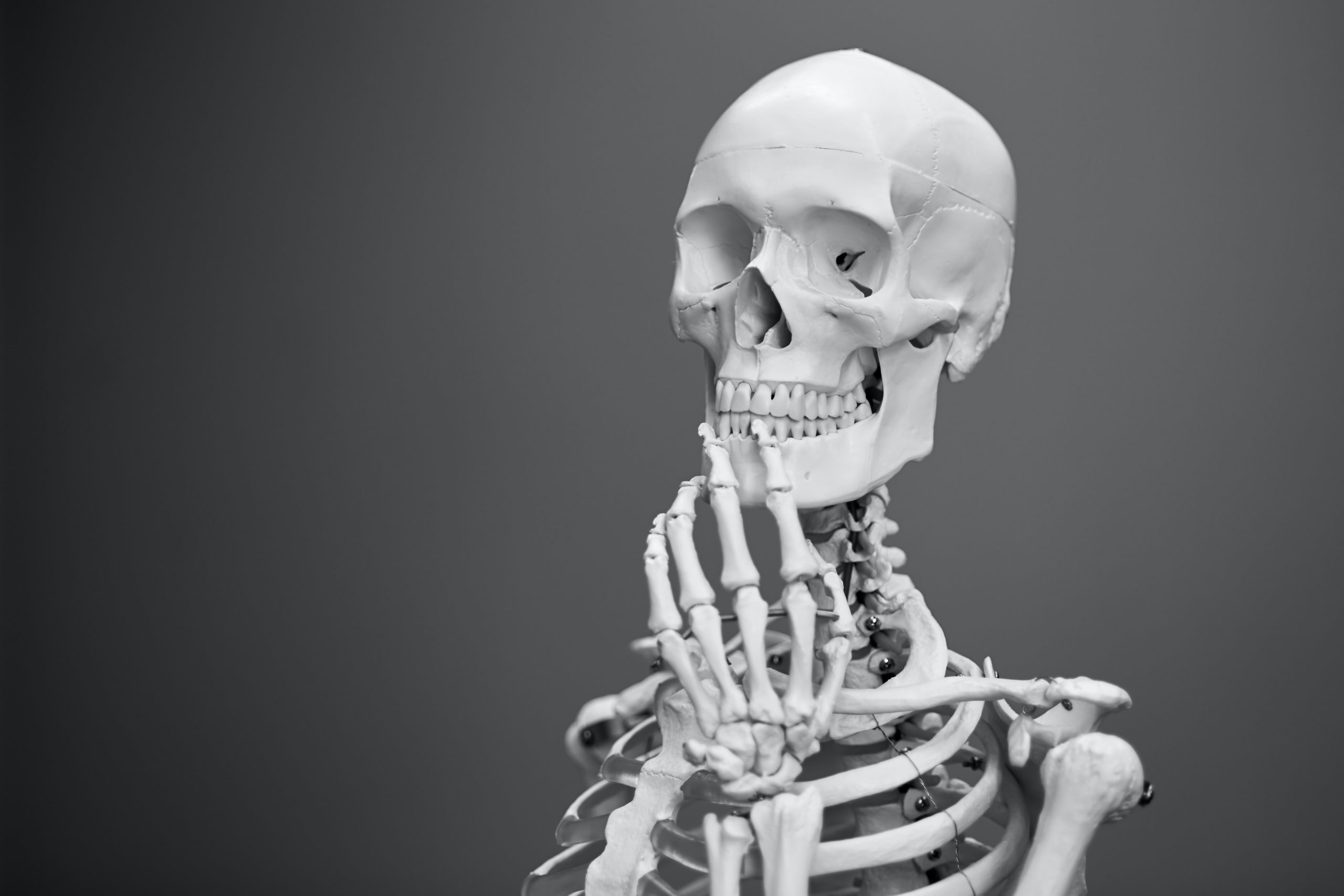 how much does a chiropractor cost