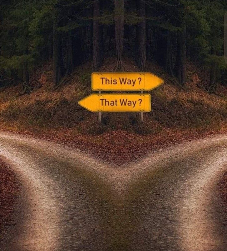 Twin Waves Wellness Team