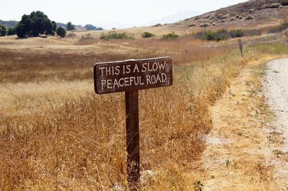 Twin Waves Wellness Team