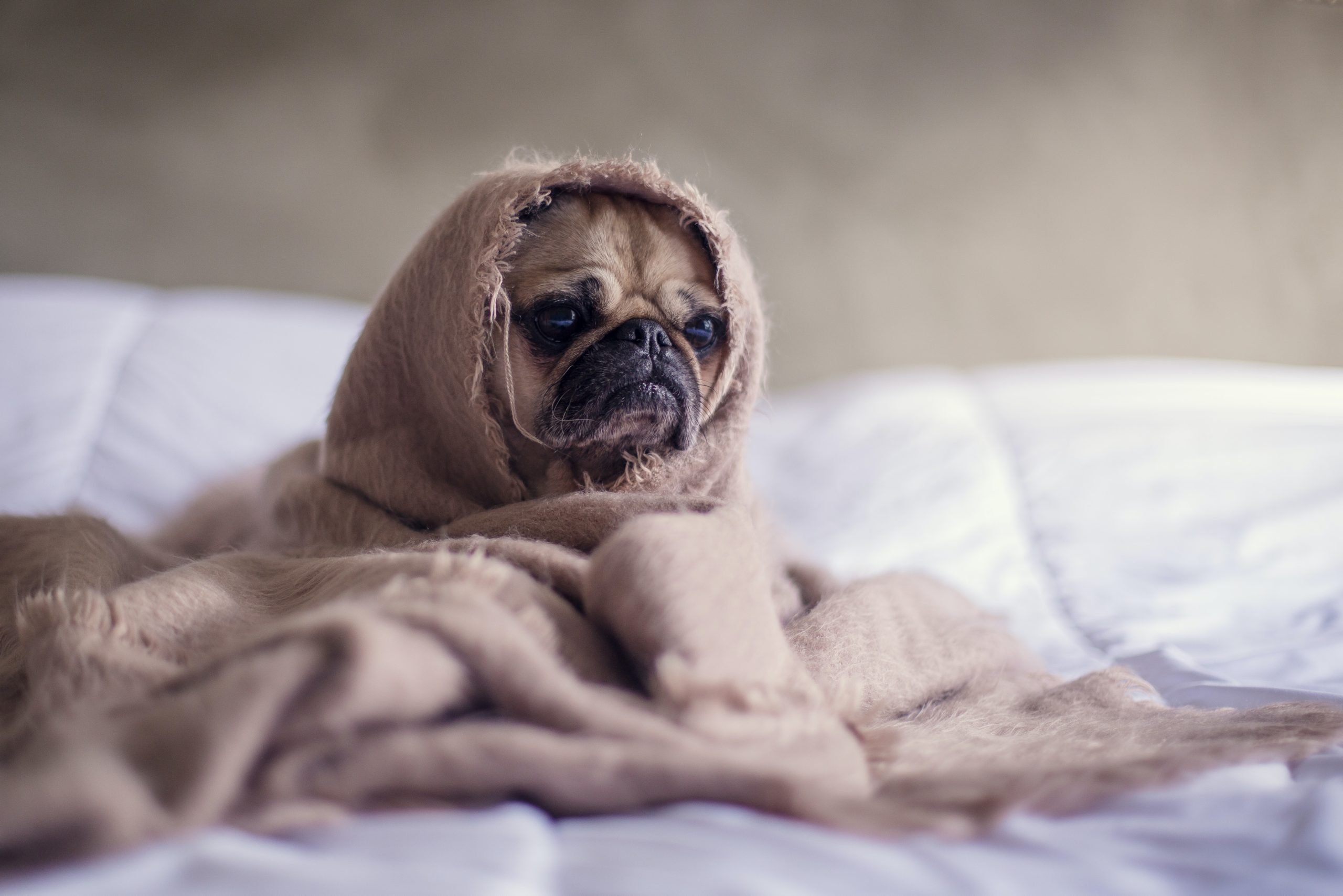 holistic remedies for anxiety