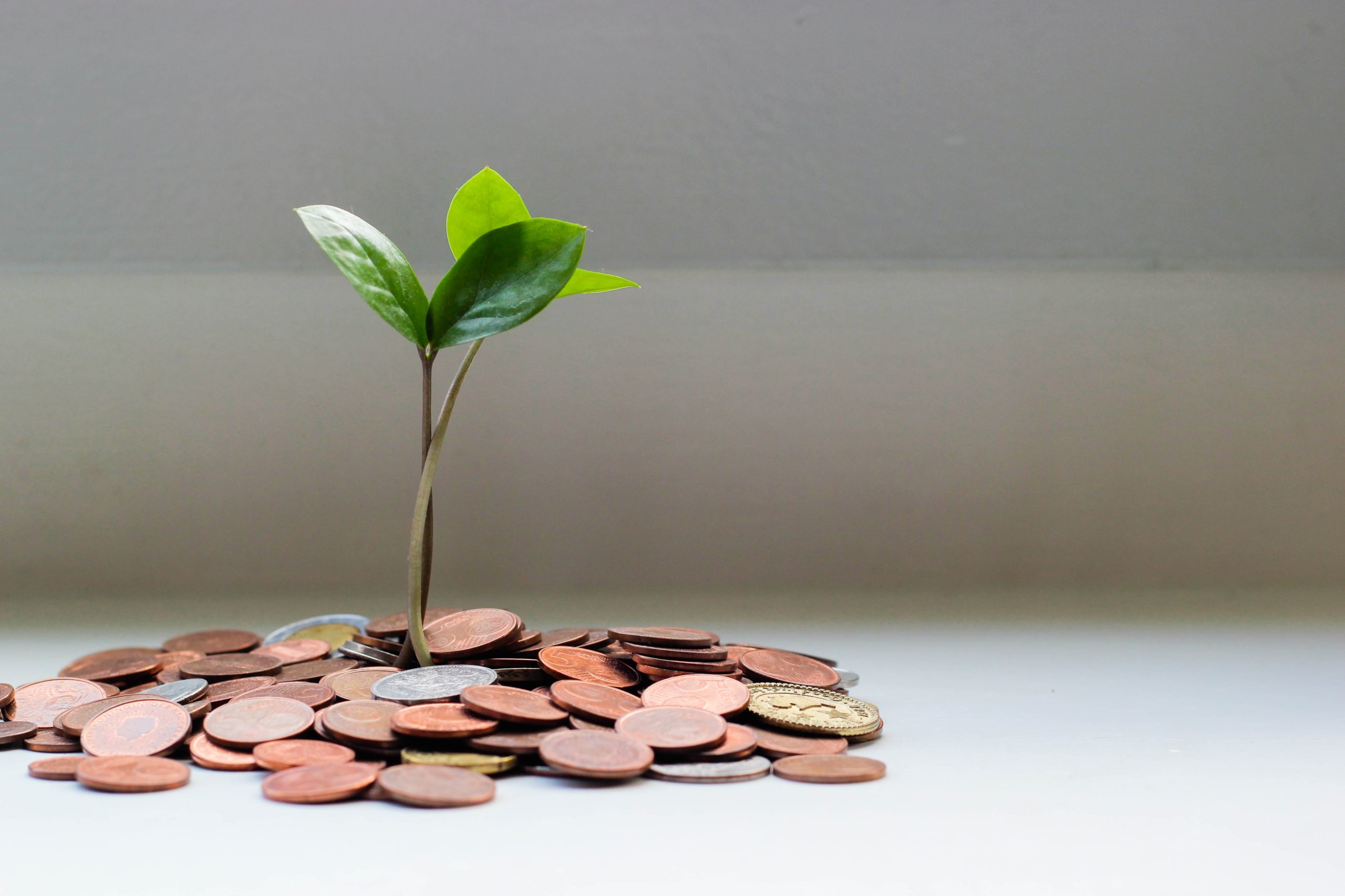 health savings account chiropractic