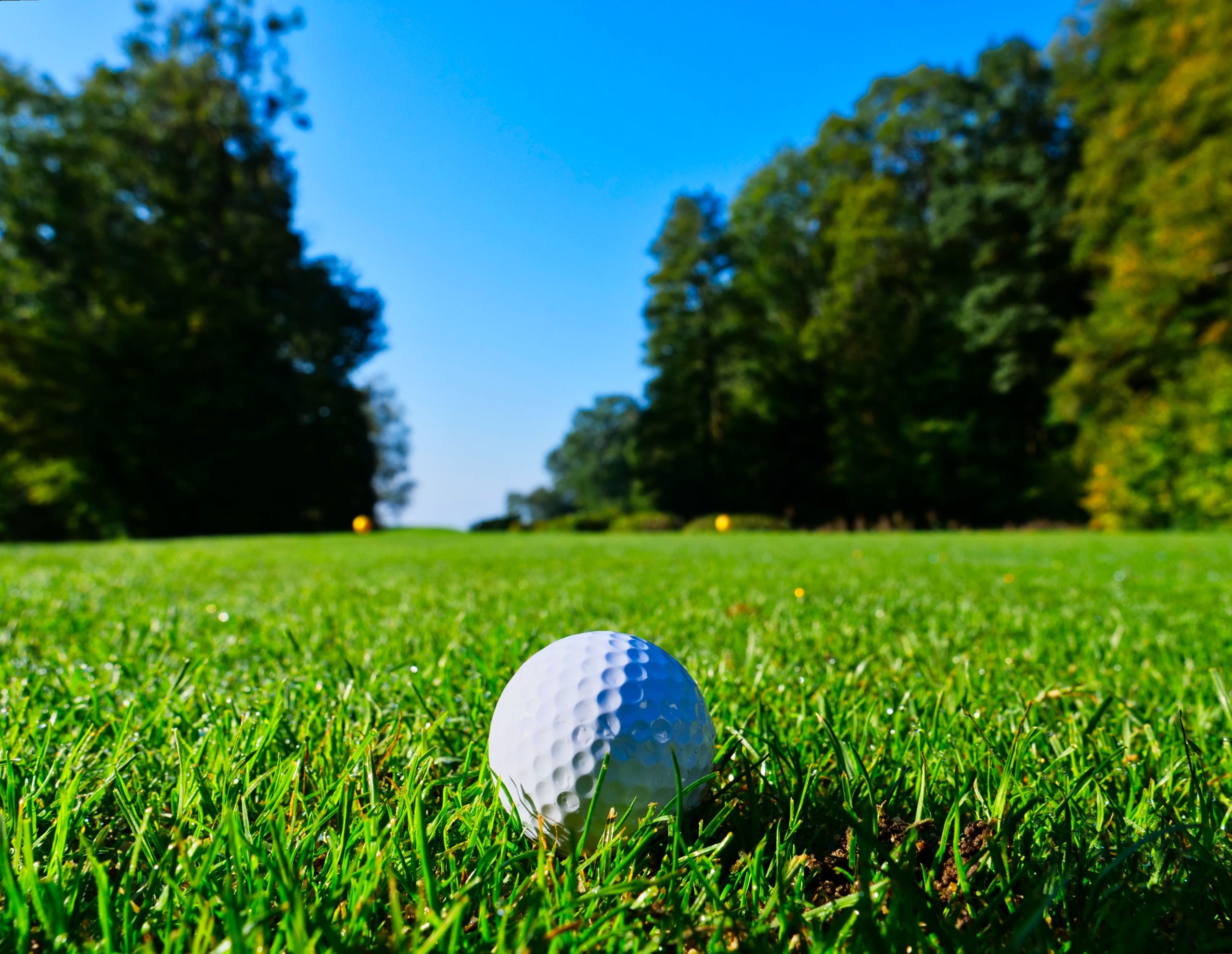 chiropractor for golfers