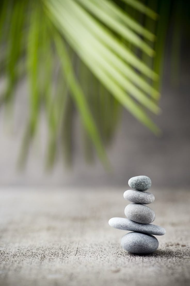 Twin Waves Wellness Team