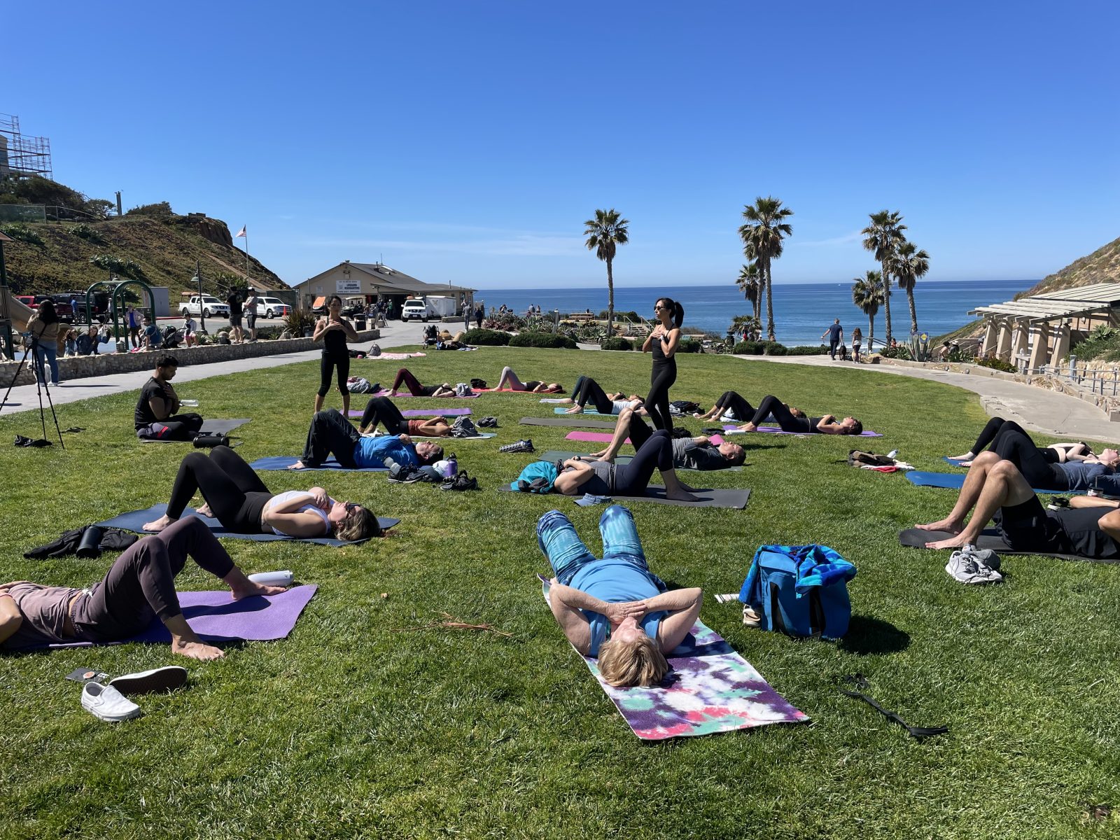 Twin Waves Wellness Team