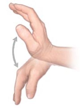 Twin Waves Wellness Team