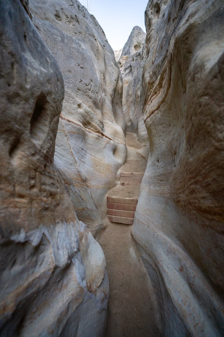 Twin Waves Wellness Team