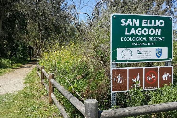 Twin Waves Wellness Team