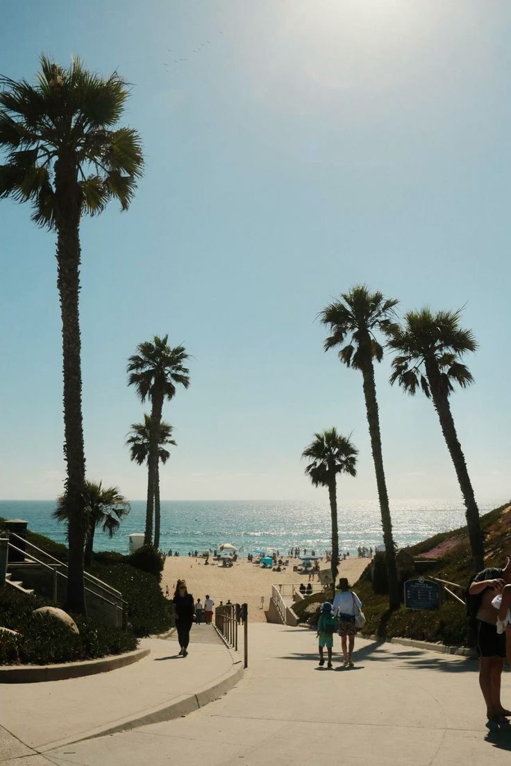 Twin Waves Wellness Team