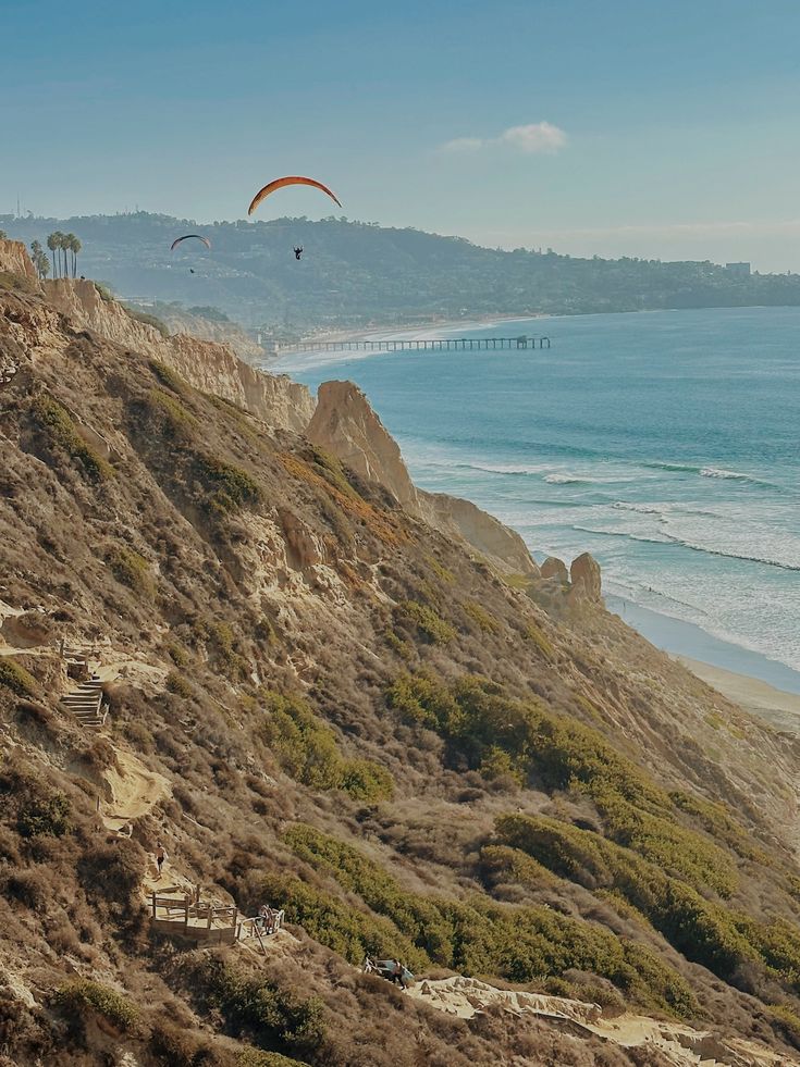 Twin Waves Wellness Team